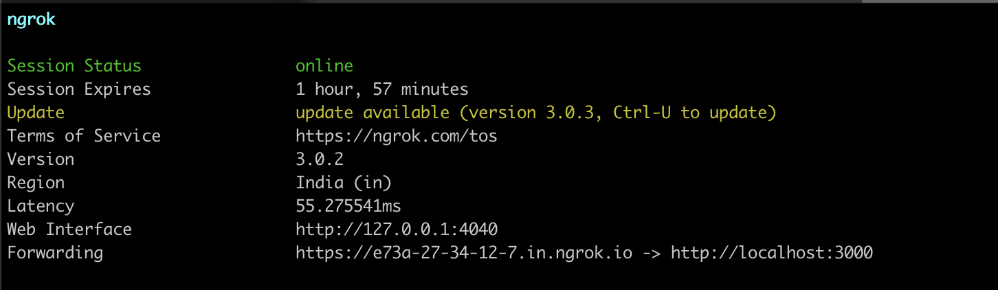 Screenshot of active NGROK session in command line