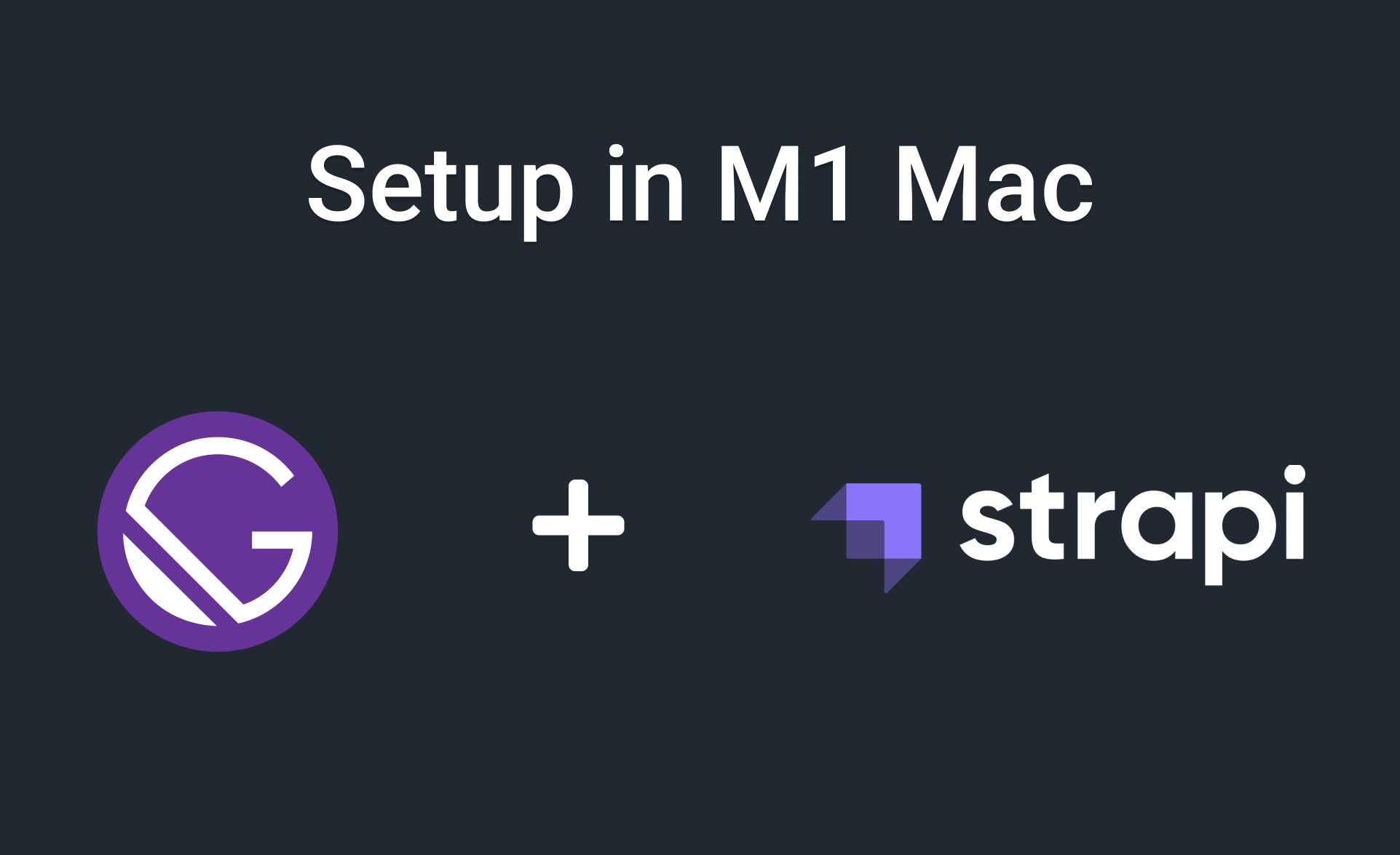 Setup Gatsby with Strapi in M1 Mac